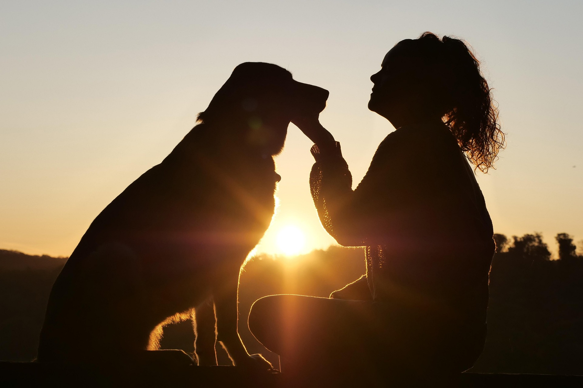 Ein Hund und eine Frau sitzen vor dem Sonnenuntergang sich gegenüber. Sie schauen sich an, die Frau hält dabei das Kinn des Hundes. Man sieht durch die untergehende Sonne nur ihre schwarzen angeleuchteten Silouhetten, sodass eine romantische Atmosphäre en