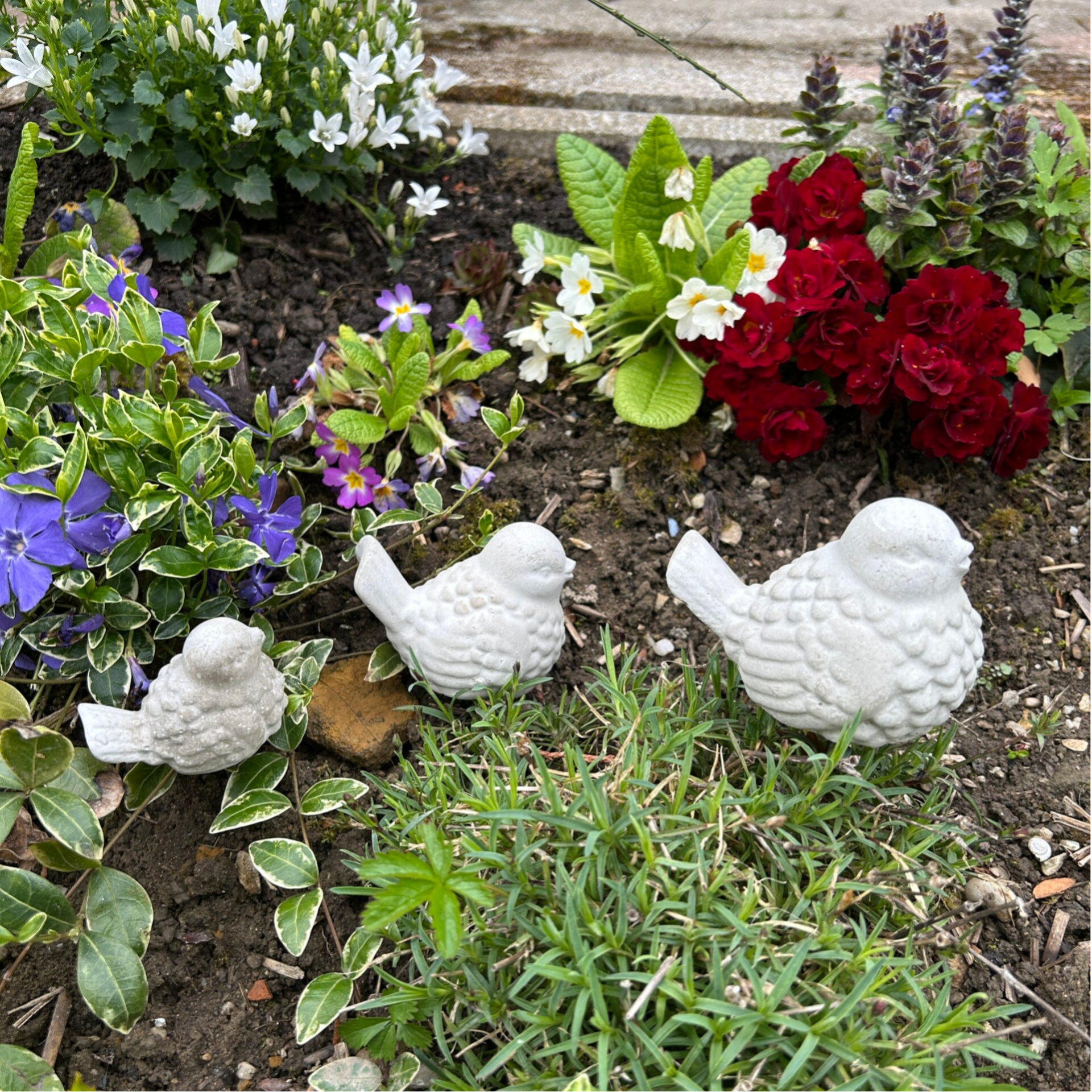 Beton-Vögeli zum Stecken