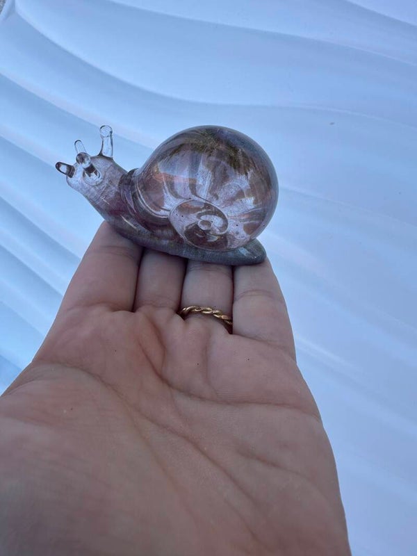 Schnecke