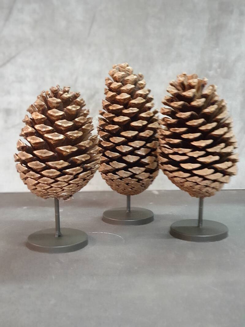 20211024_165102-standard.jpg