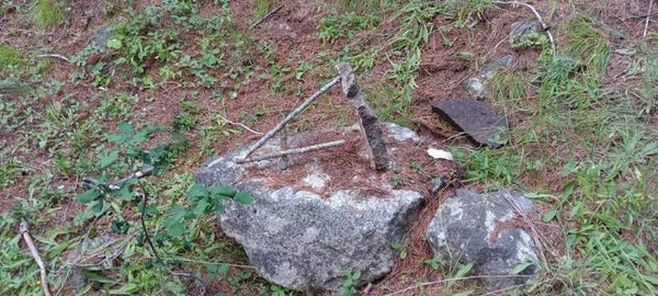 1-day 8hours Survival training single