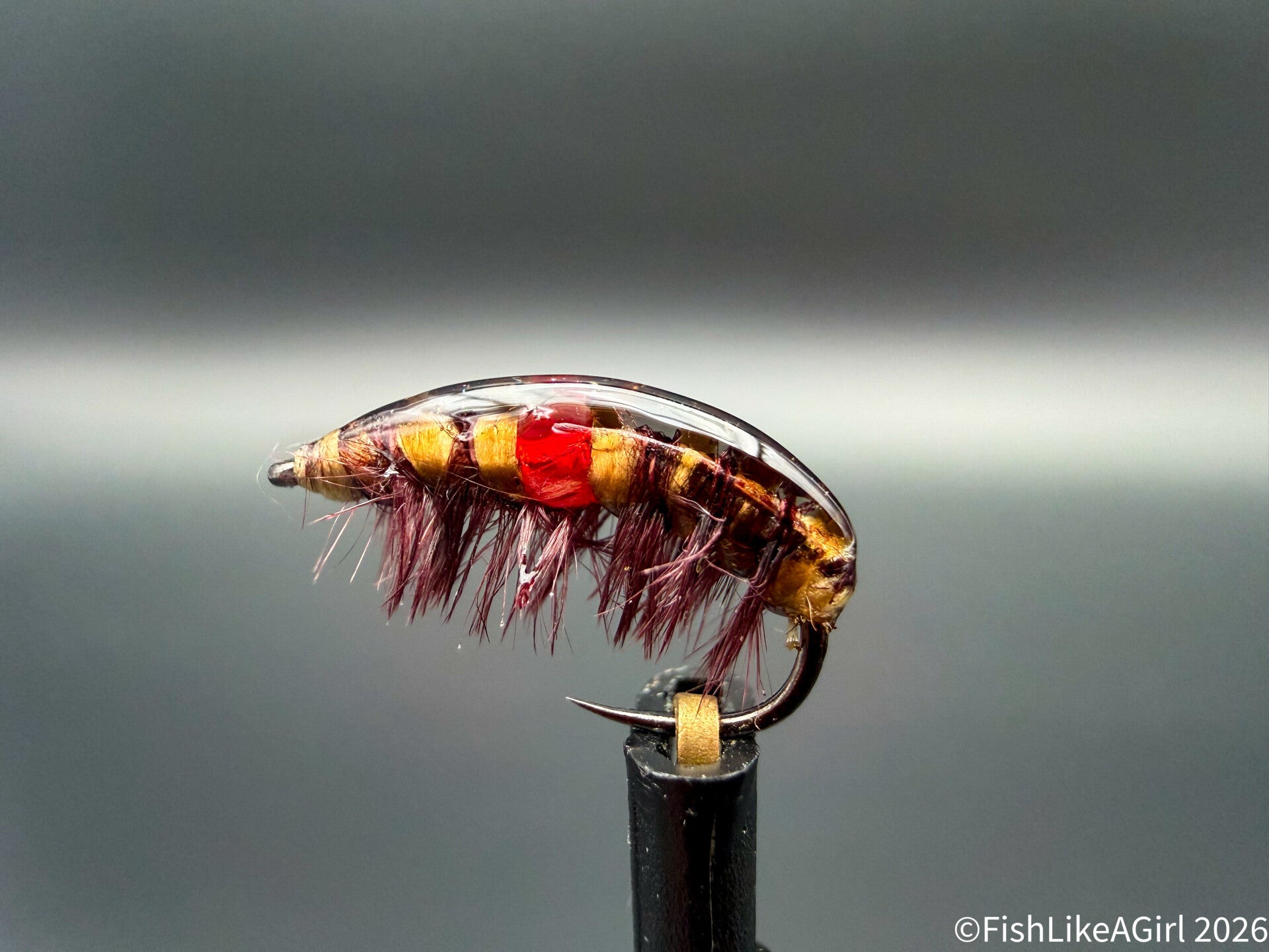 Gammare hotspot rouge