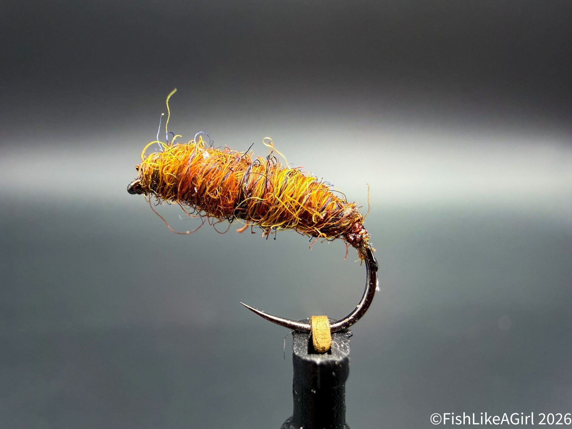 Chadwicks killer bug