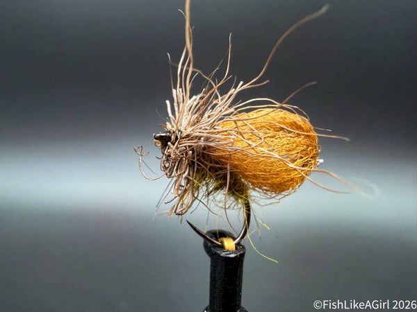 Bubble Caddis – Émergente de trichoptère