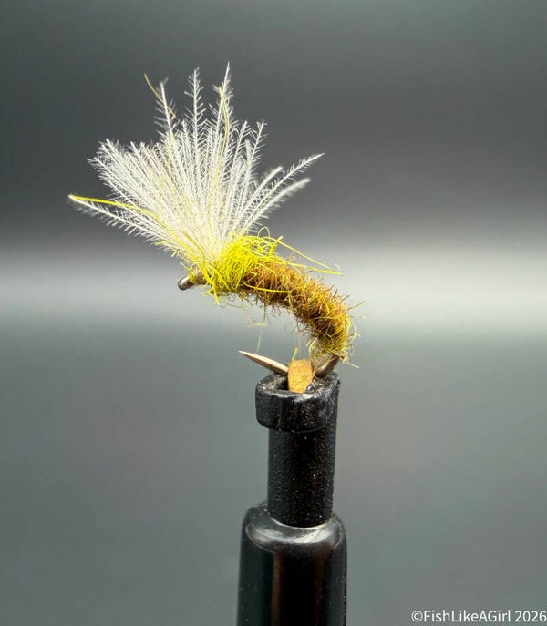 Émergente Olive CDC sur Hameçon Caddis – Mouche Sèche Truite & Ombre | FishLikeAgirl