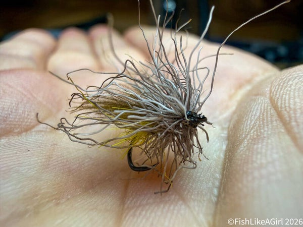 Sedge – modèle naturel sans foam