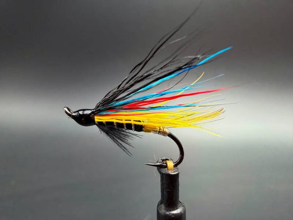 Black Dose – Mouche saumon et truite de mer