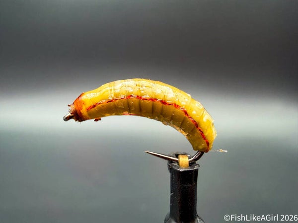 Larve de coléoptère – Nymphe réaliste