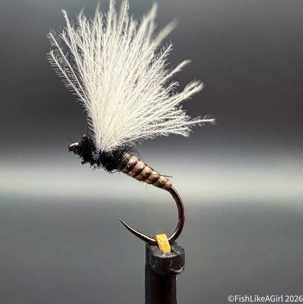Cdc Quill