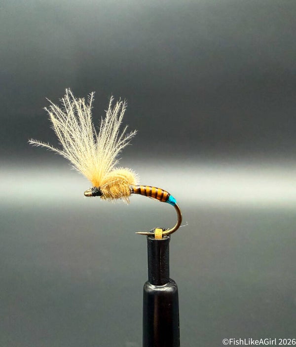 Émergente tag turquoise