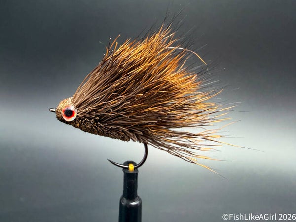 Guiness  — Sedge Hodge