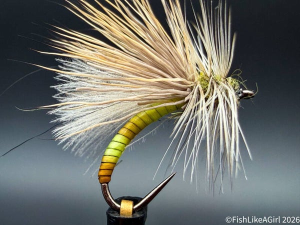 Peccary Caddis