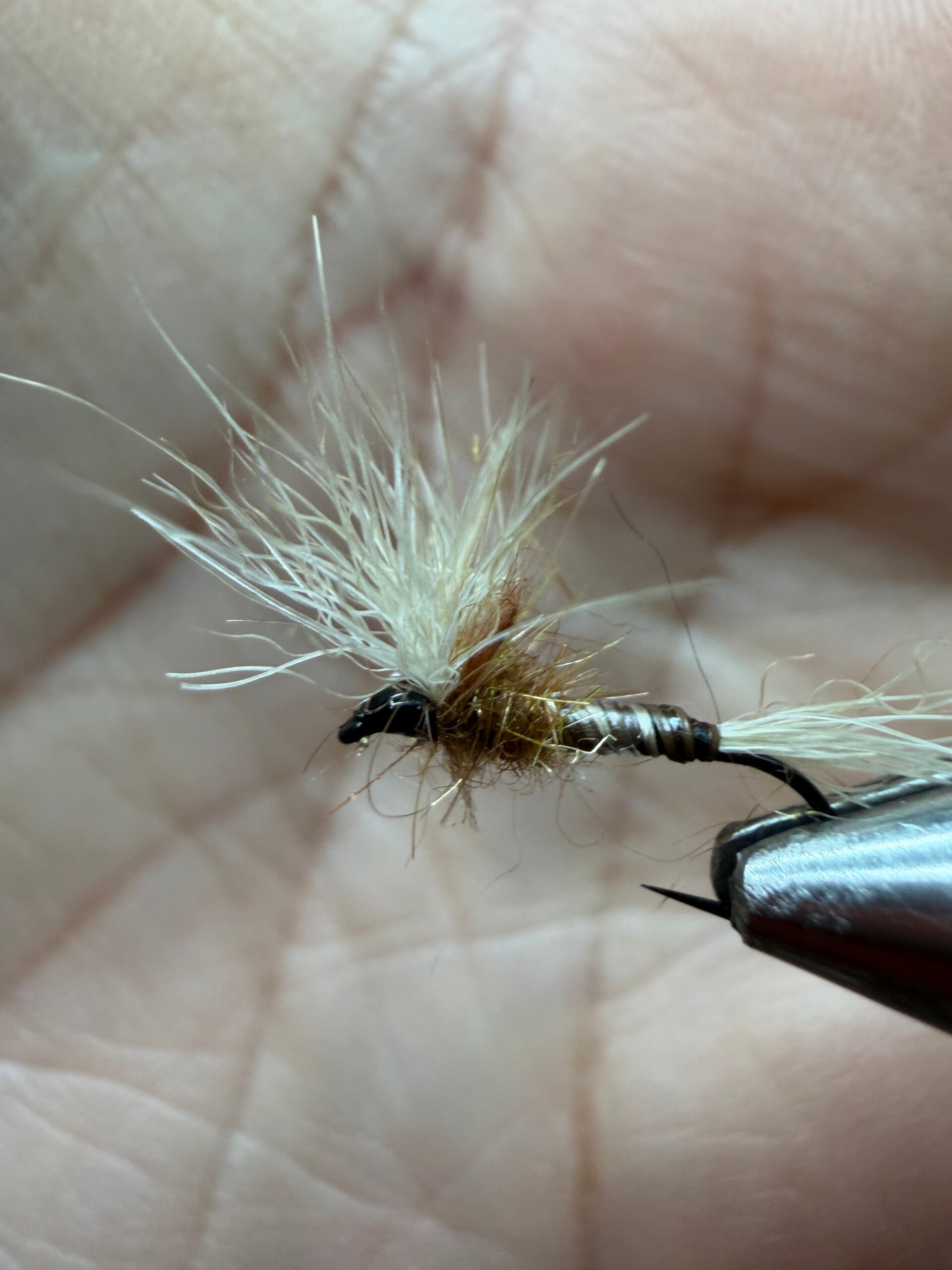 Arctic Emerger en lièvre arctique