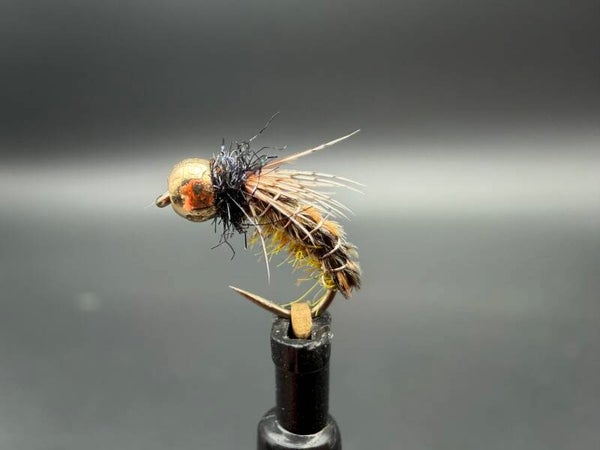 Nymphe perdrix/faisan