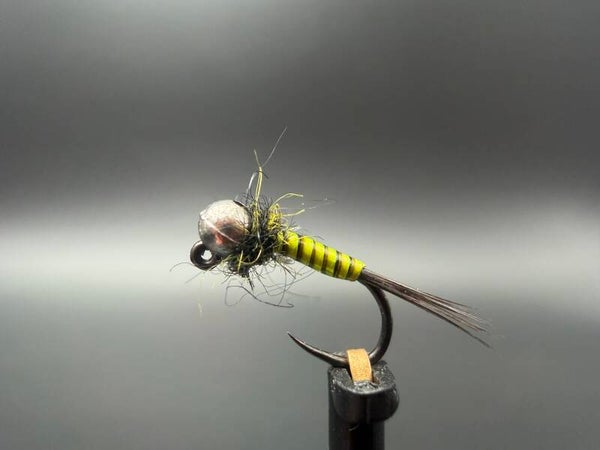 Pack 10 nymphes