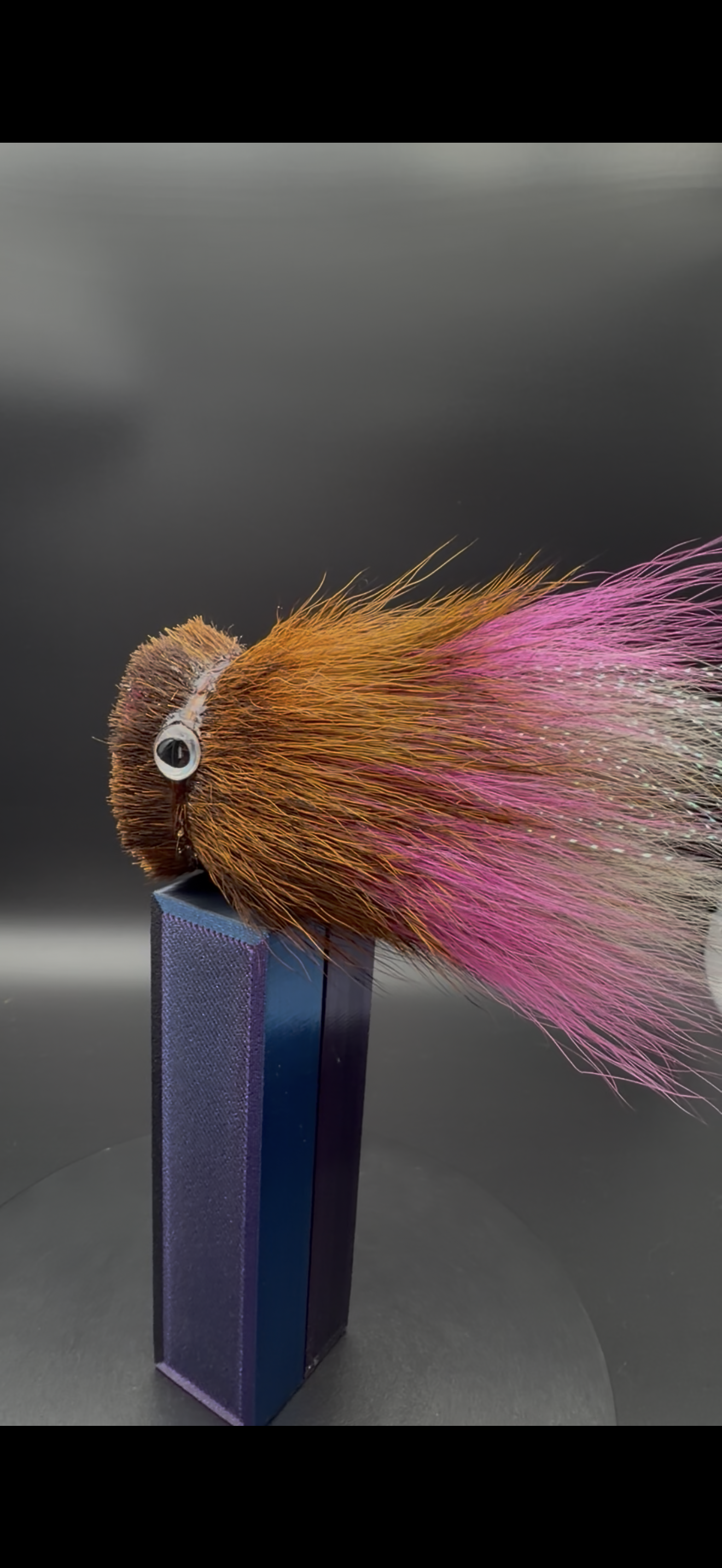 Tête type murias mouse