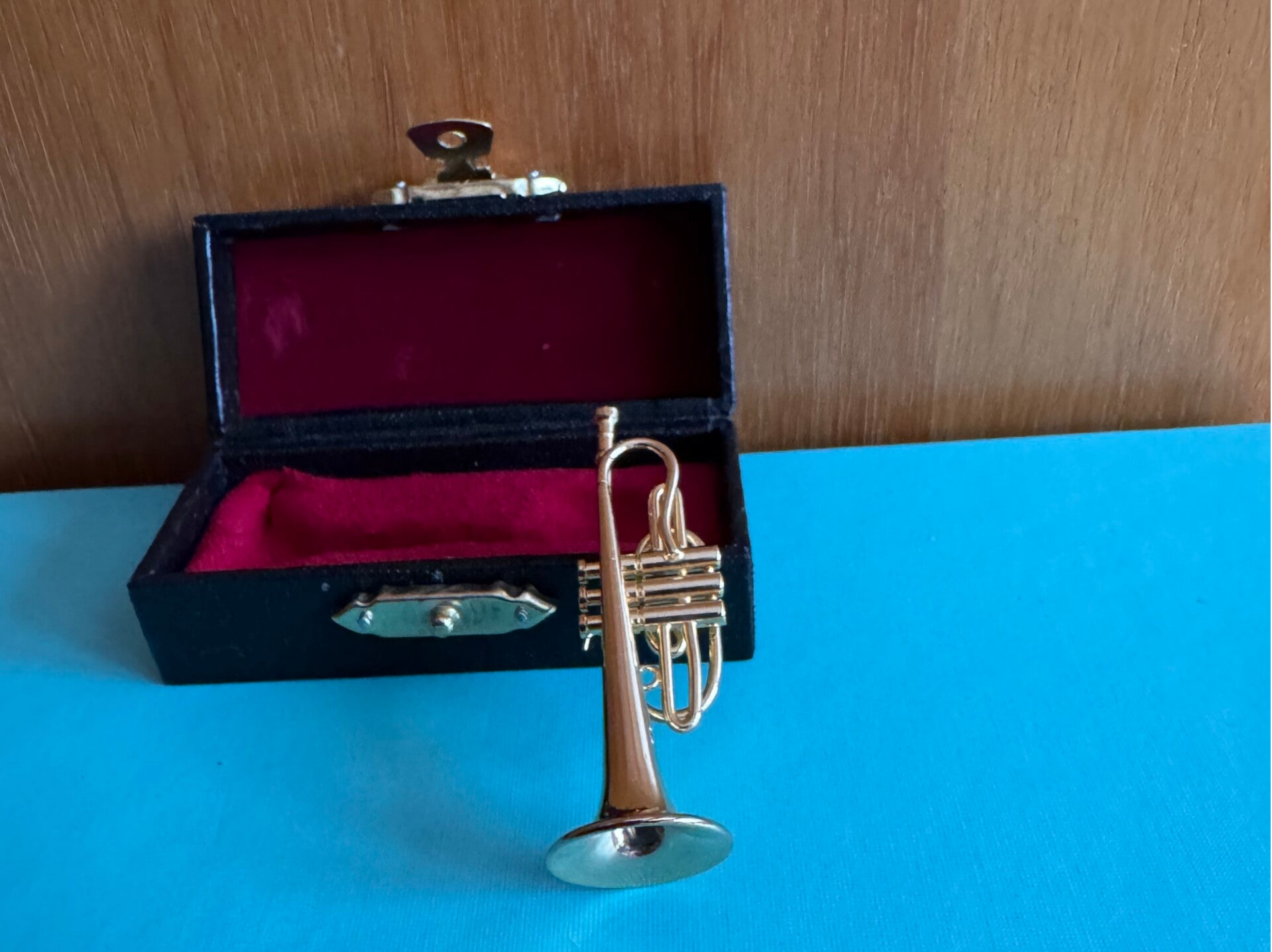 Kornett Messing und Kasten mit Leder überzogen