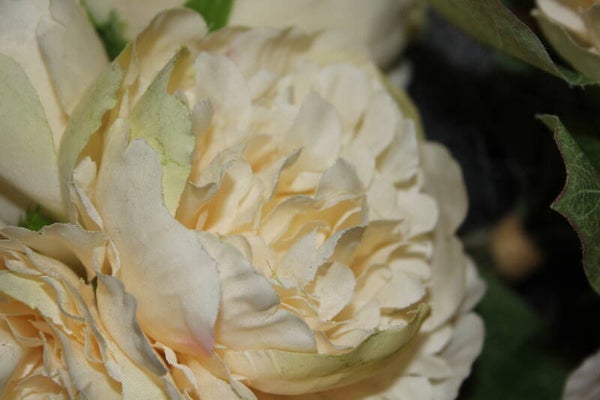 White Flower