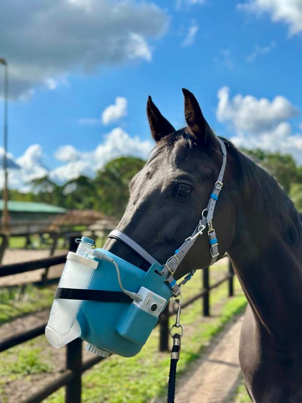 By Baukje - BioThane® verstelbaar Halster voor Flexineb