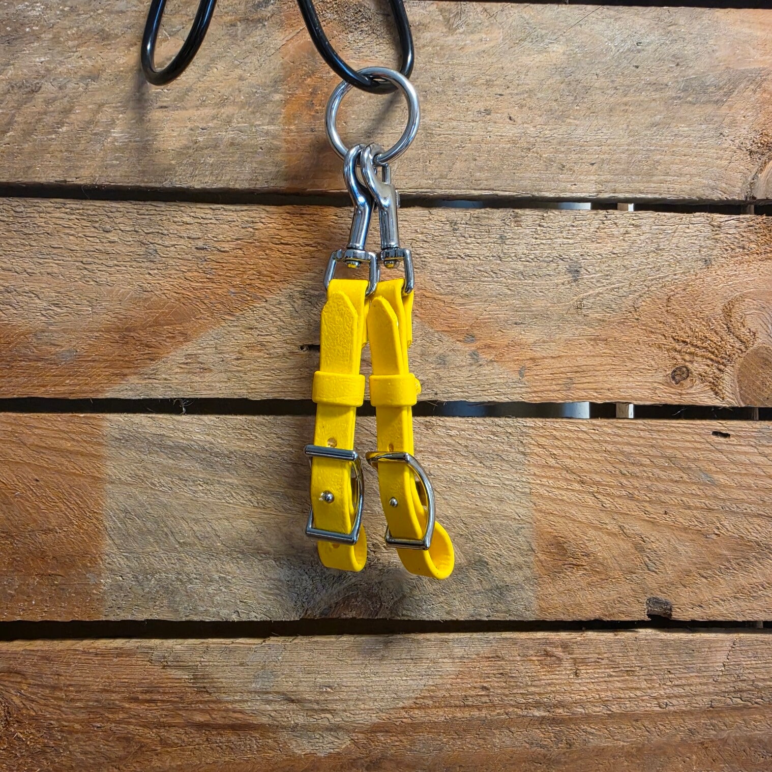 SALE - Bitclips Goudgeel - Cob - RVS - Musketon - Conway - Holnietje