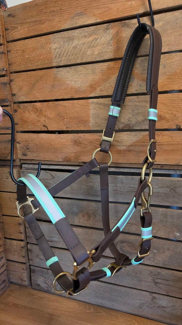 By Baukje - BioThane Halster - Reflectie - Cob - Donkerbruin - Mintgroen - Gestikt