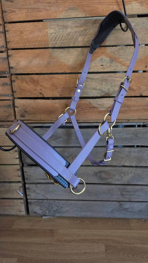 SALE - Kaptoom Base met brede neusriem - Limited Edition Mauvepaars - Messing - Full - incl. bitclips