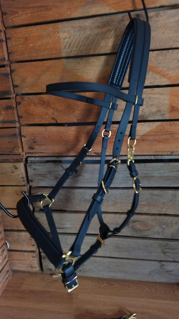 SALE - Halsterhoofdstel met bitclips - Cob/Kleine Full - Messing - Zwart 16mm - Gestikt met zwart garen - Zwart foam