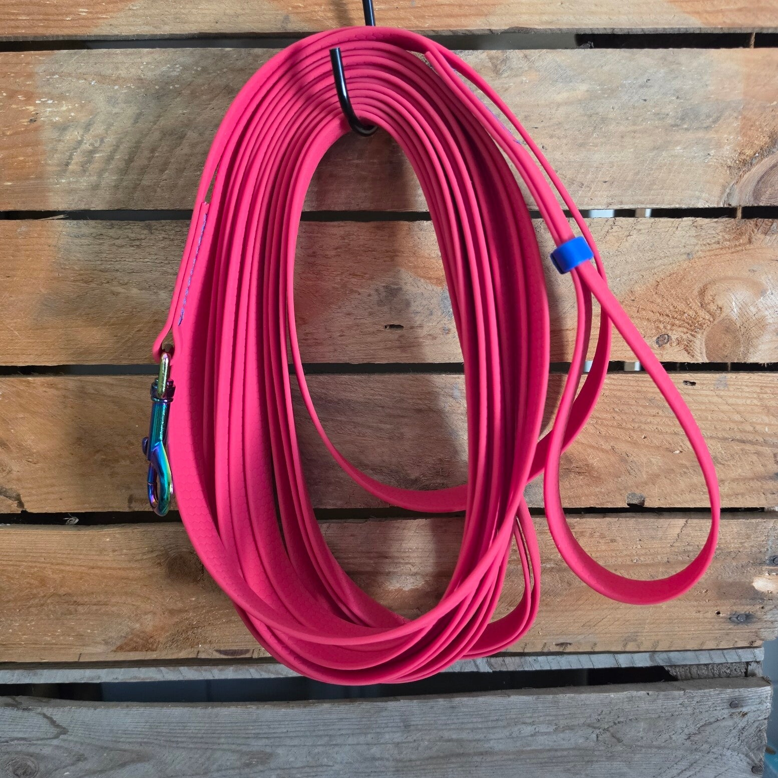 SALE - Lichte Grip Longeerlijn - Rainbow - 19mm - Cadillacrood - met handvat - 8 meter - Stiksel Koningsblauw