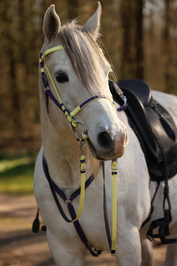 SALE - Set Clickbridle halsterhoofdstel - Borsttuig en Teugels Medium Grip - Cob - RVS - Lichtgeel/Paars/Goud garen