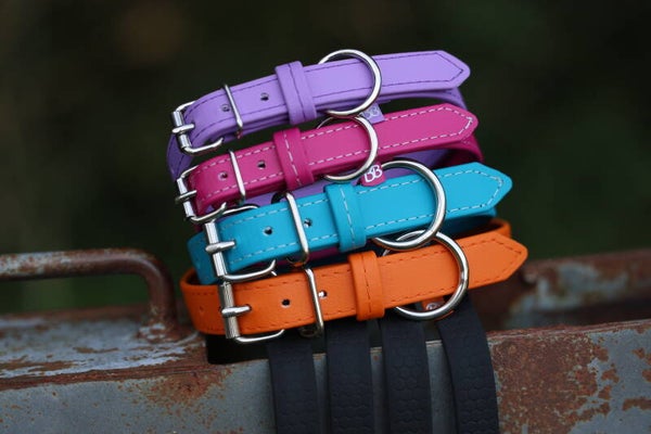 By Ben - Halsband BioThane®  - Halsband met gesp en stiksel
