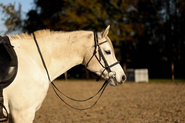 By Baukje - BioThane® Clickbridle - BioThane Kopstuk - BioThane Bitstuk - met stiksel