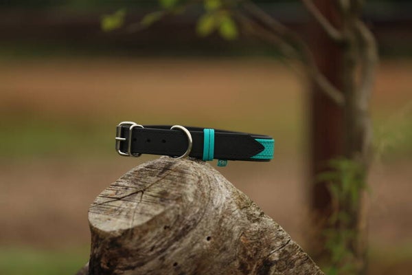 By Ben - Halsband BioThane®  - Halsband met gesp en Webbing afwerking