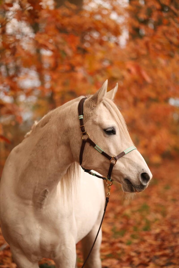 By Baukje - BioThane® verstelbaar Halster met reflectie