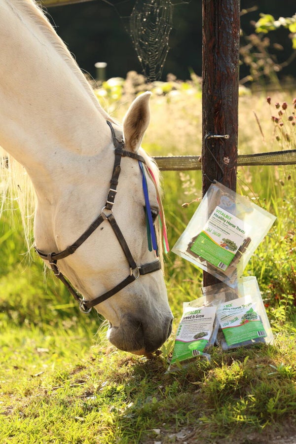 By Baukje - Proefverpakking paard