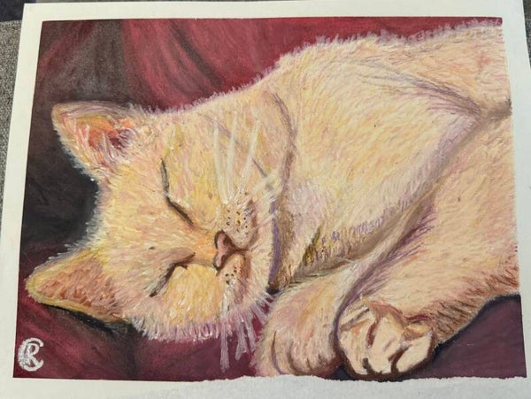 Sleeping Cat