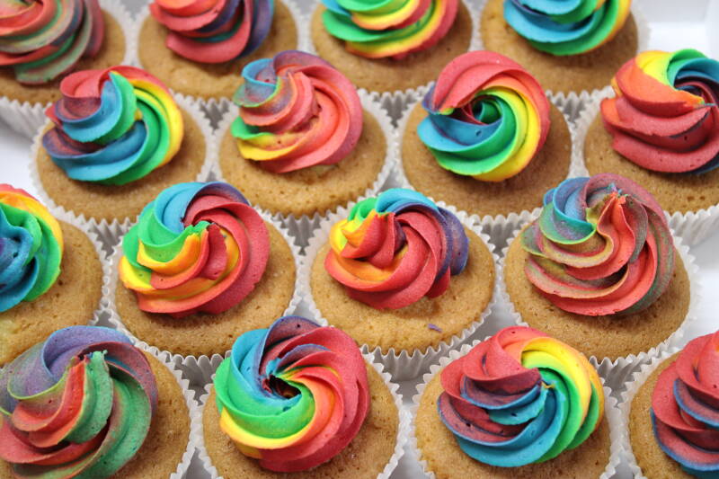 Regenboog