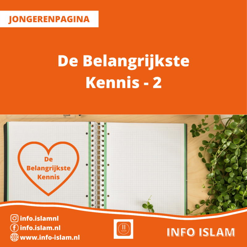 De Belangrijkste Kennis - 2