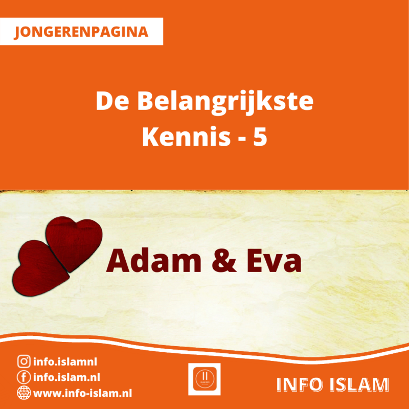 De Belangrijkste Kennis - 5