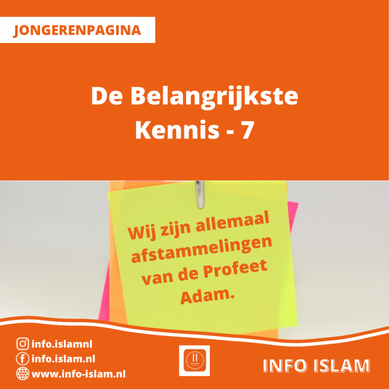 De Belangrijkste Kennis - 7