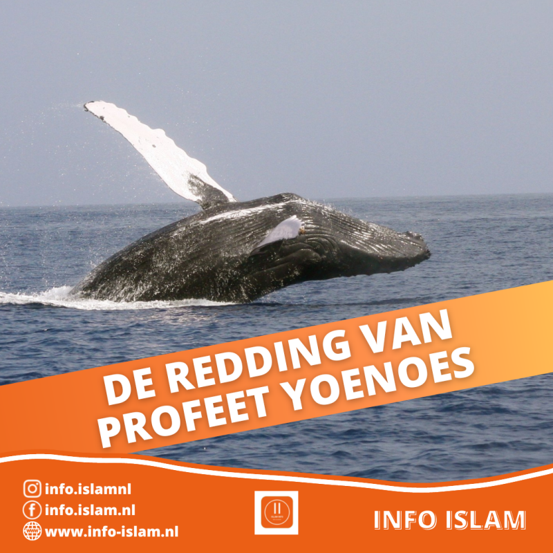 De Redding van Profeet Yoenoes