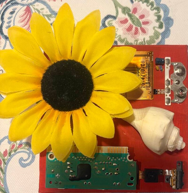 Blümchen im Elektroschrott