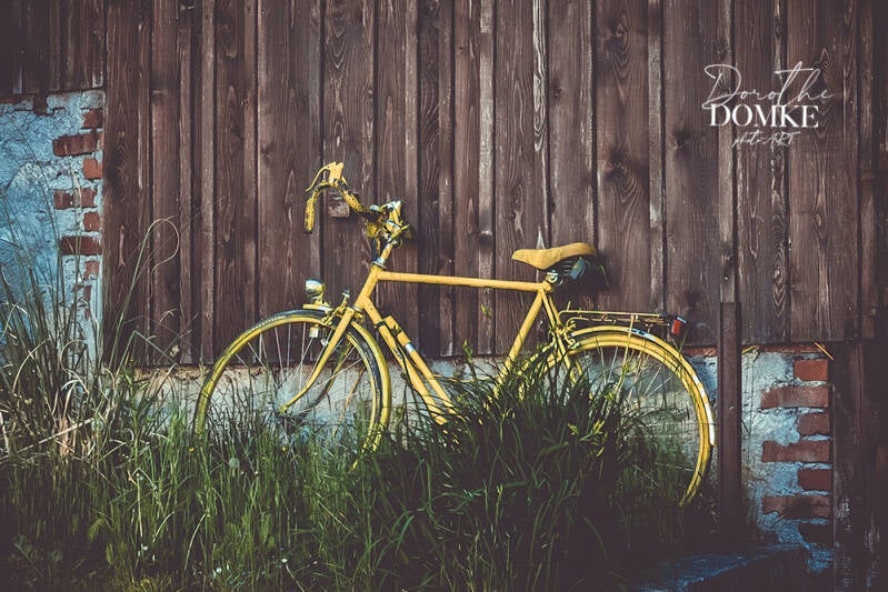 altes Fahrrad Fotografie Dorothe Domke