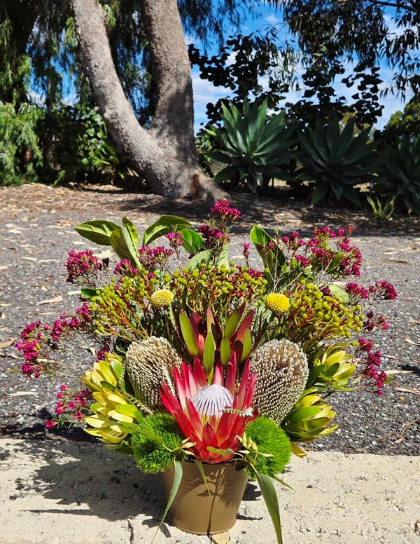 Native Pop Arrangement