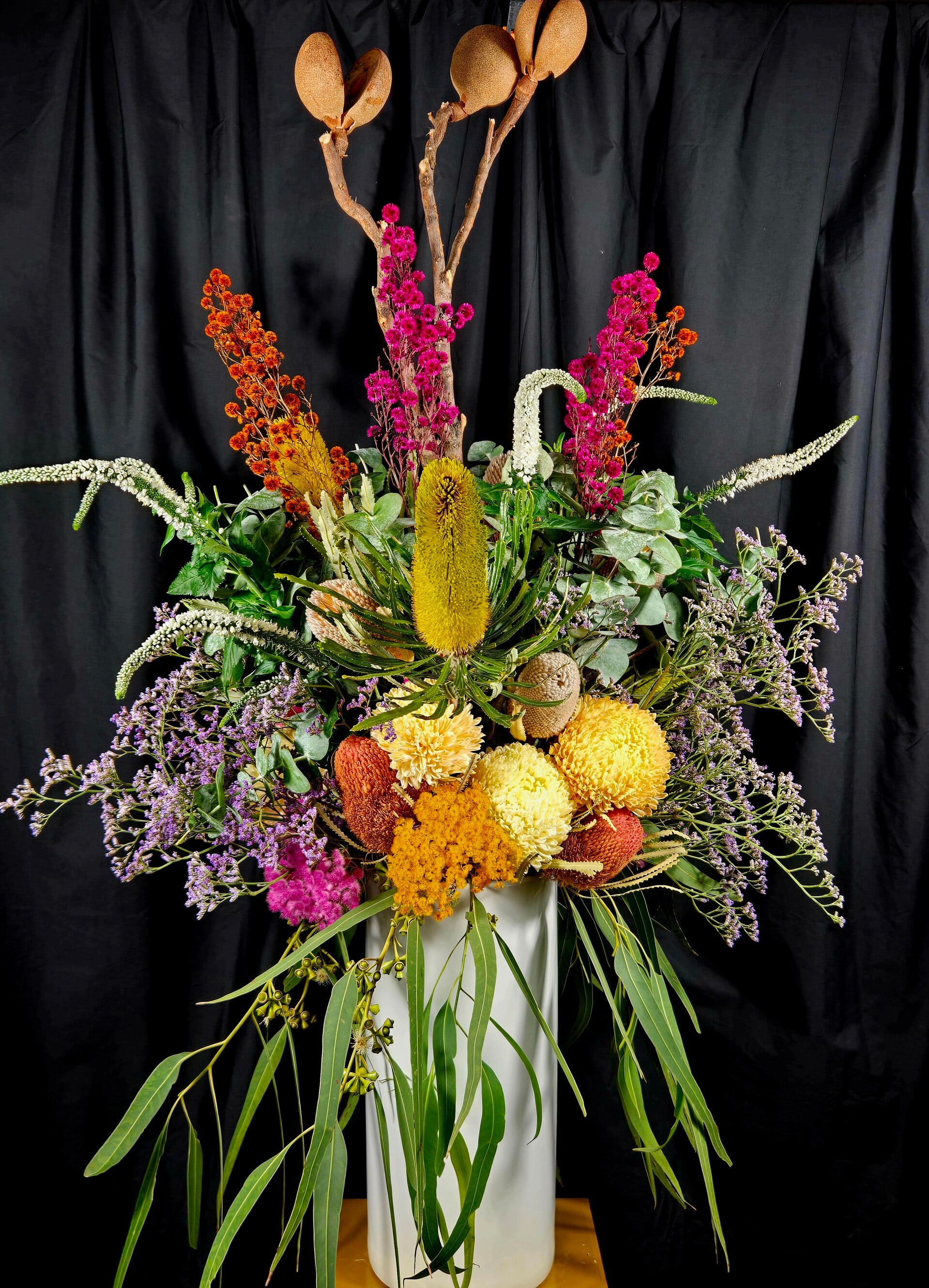 Boy Oh Boy, What A Beauty!