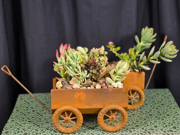 🌿 Rust & Roots Succulent Wagon