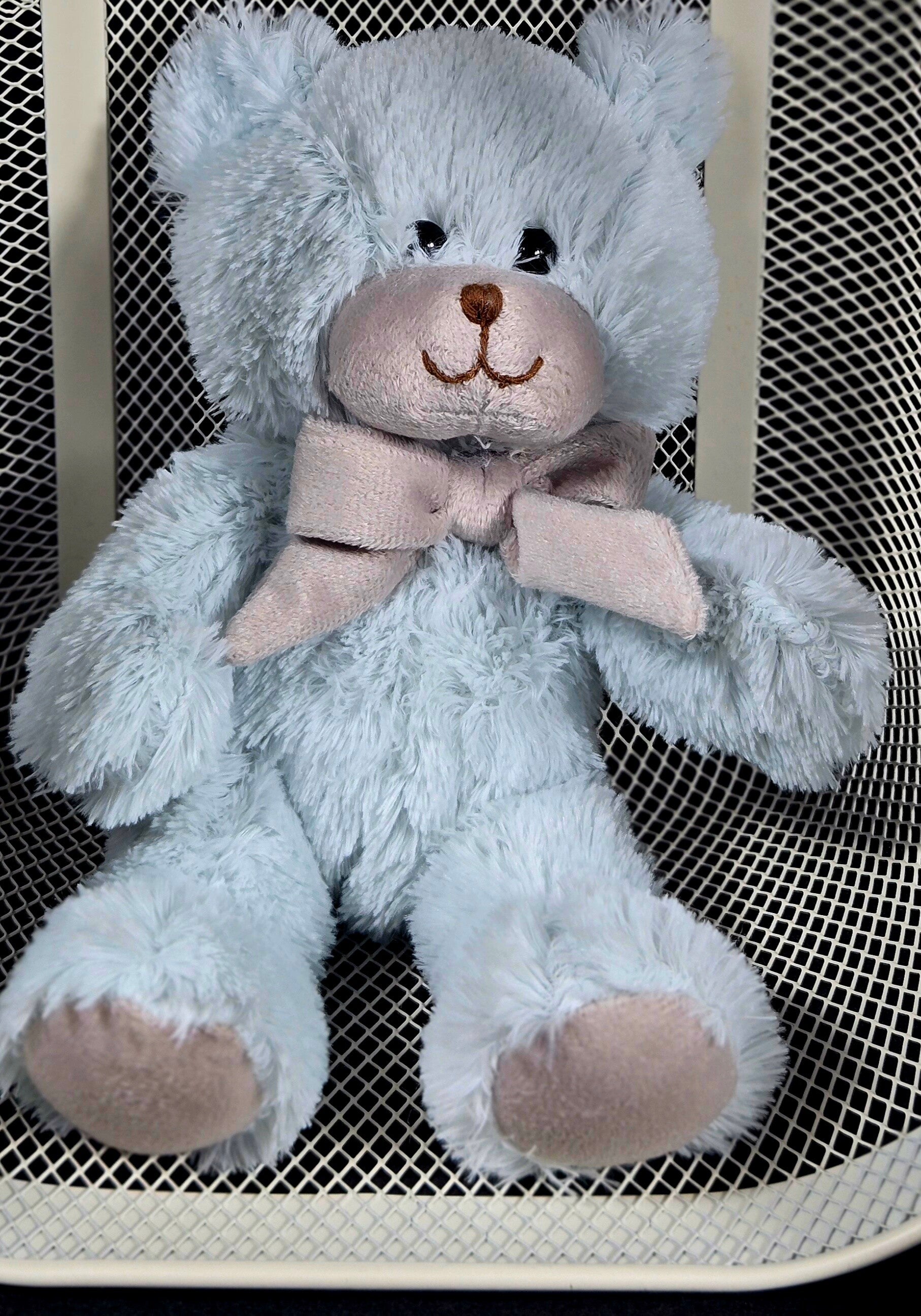 Baby Blue Snuggle Bear 🧸