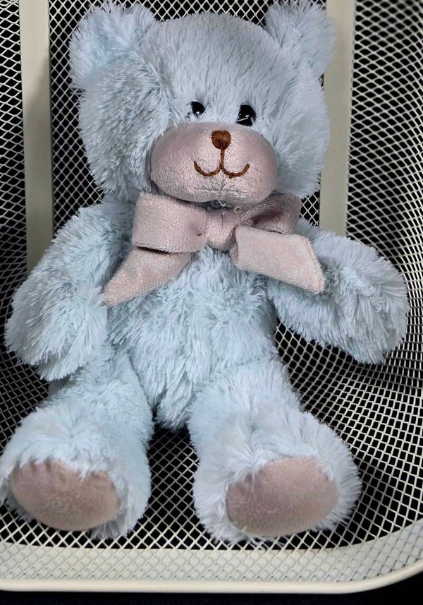 Baby Blue Snuggle Bear 🧸