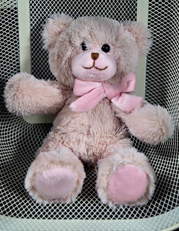 Blush Snuggle Bear 🧸