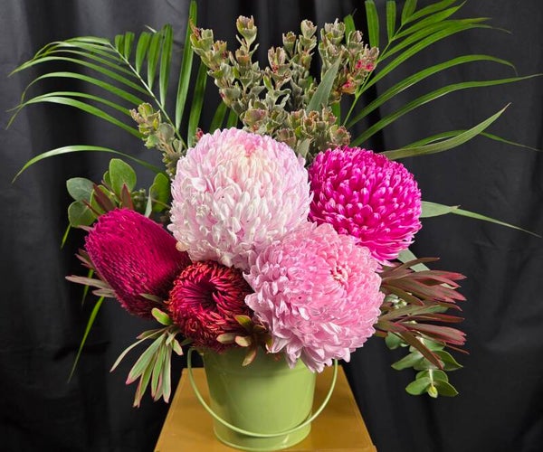 Wild Pink Banksia Pots