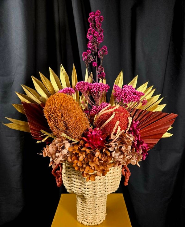 Sunset Bush Banksia Beauty